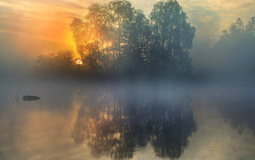 wnderlst:  Misty landscapes in Sweden