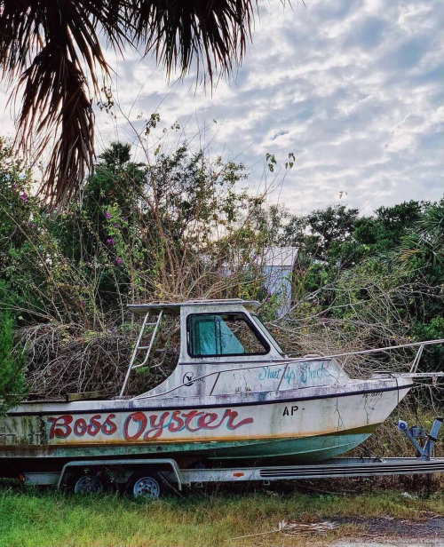 lowcountry-gothic: Apalachicola, FL.