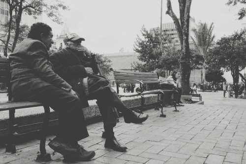Momentos de Plaza. Bogotá D.C. 12:10 m