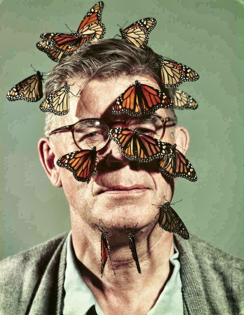 John Dominis - Carl Anderson with monarch butterflies on his face, 1954.