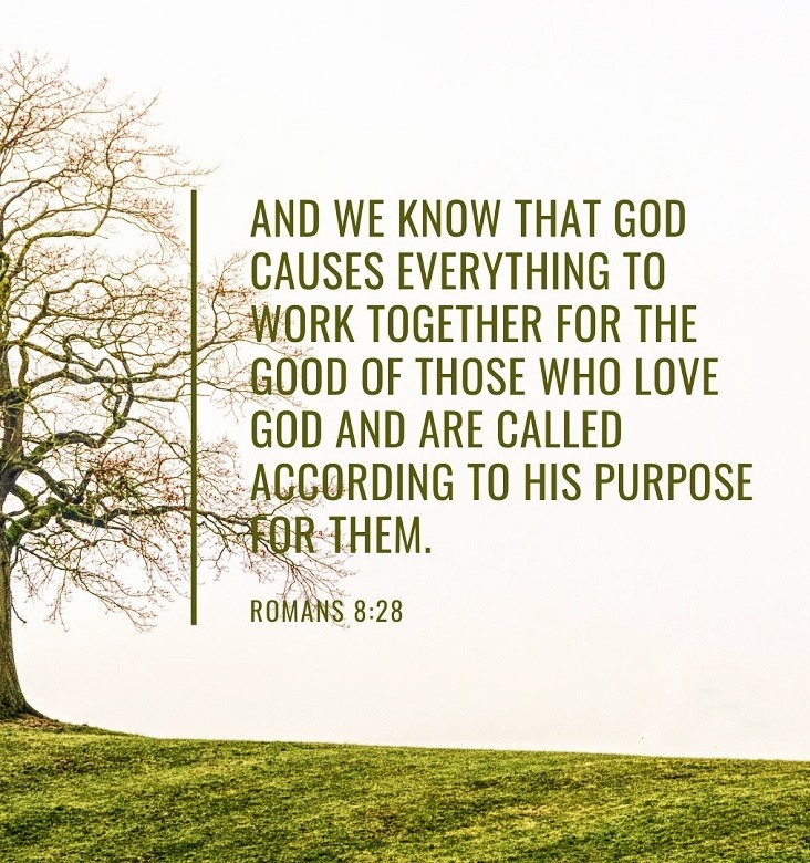 wiirocku: Romans 8:28 (NLT) - And we know that...