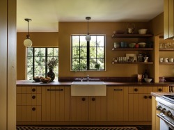 awlwren:himfluenza:we’ve been hooting with delight over green kitchens as we should be but have we considered: yellow kitchens. I think we should consider yellow kitchens.[id: photos of kitchens, some with yellow tiled backsplash, many with yellow-painted