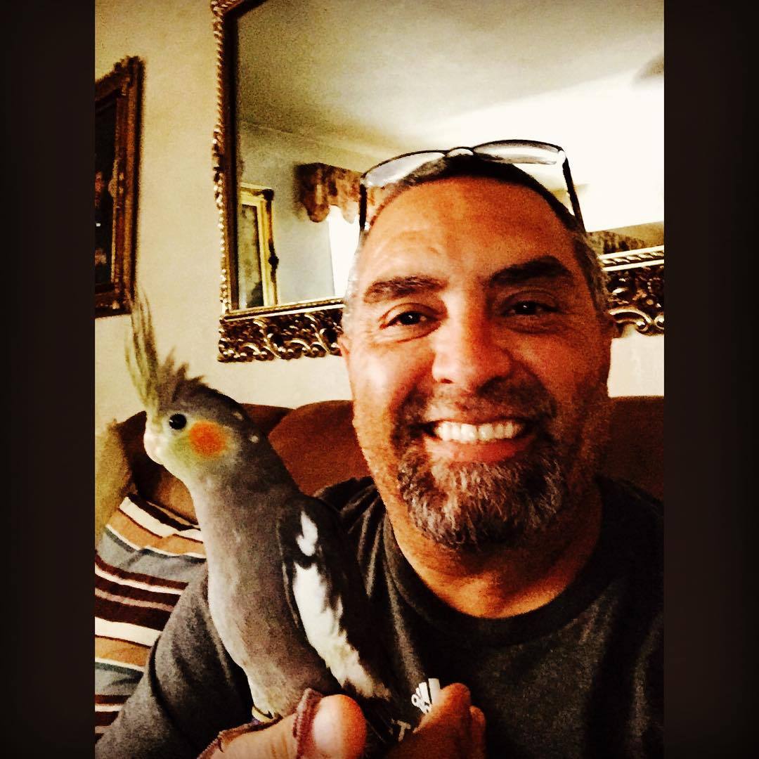 #copeton #newfamilypet #cockatoo