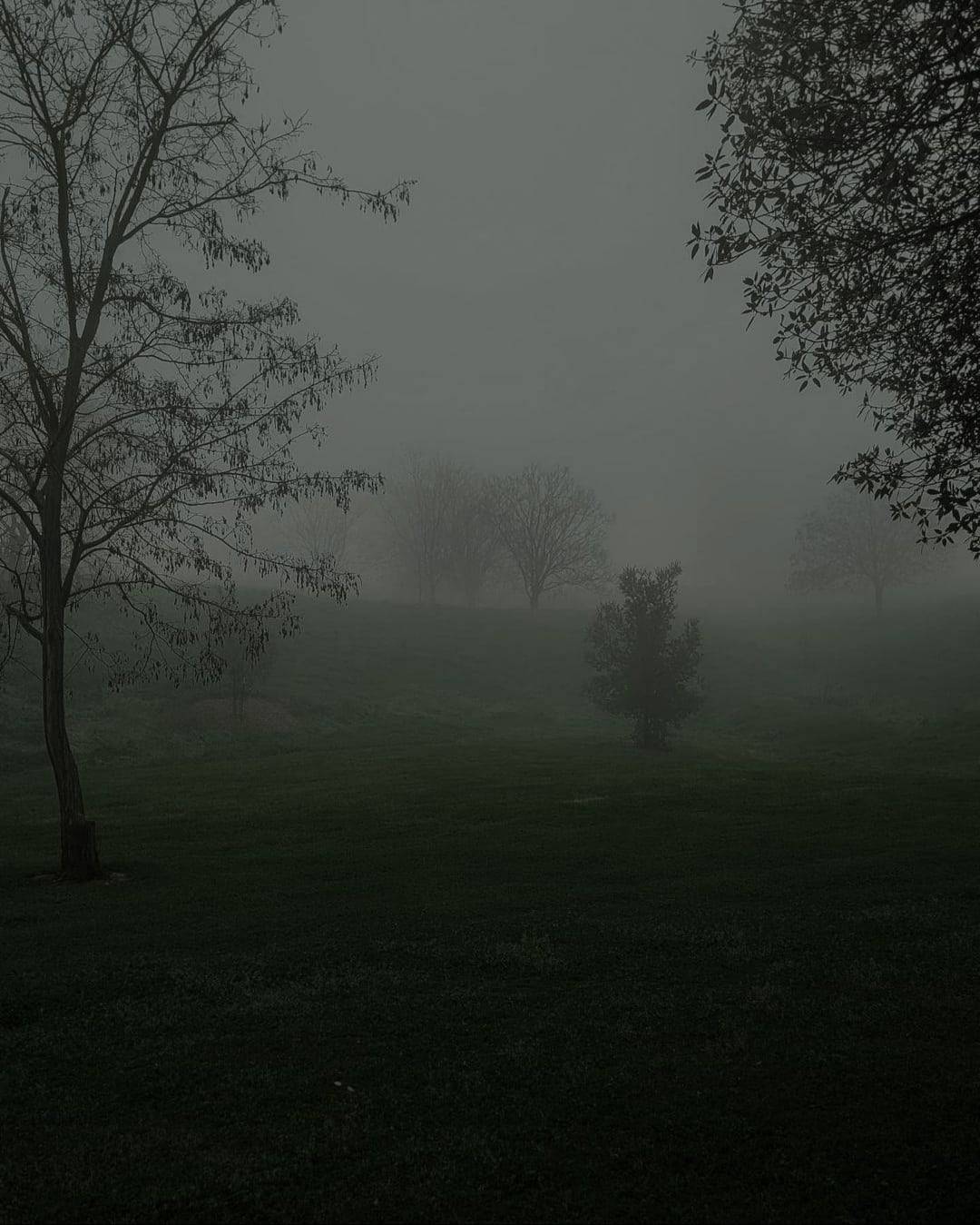 rainingnight: