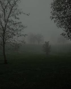 rainingnight:
