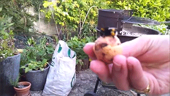 sizvideos:  Video - Via Siz iOS app