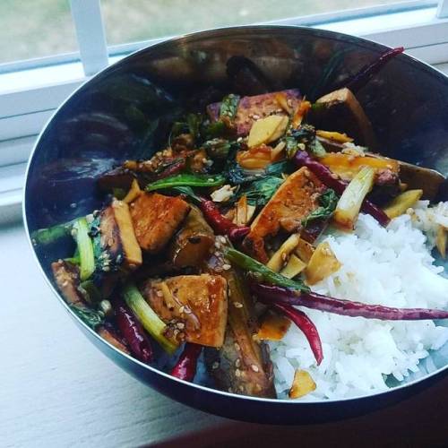 stir monday! #stirfry #vegan #veganfood #govegan #tofu #eggplant #ricebowl #buddhabowl