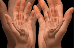 weinventyou:  Two Hands