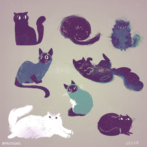 proteidaes:Been drawing some lasso tool cats as warmups latelySometimes it’s fun to just start with 