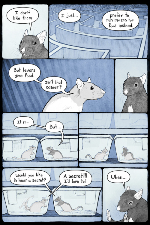 going&ndash;nowhere-fast:pengosolvent:Edit: the title for this comic is “Puzzle Rat”this one’s a few