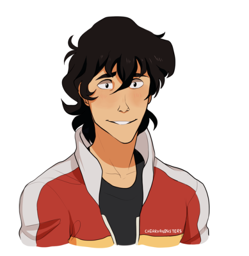 cherryandsisters:some of my fave voltron requests for the expression thing :-)