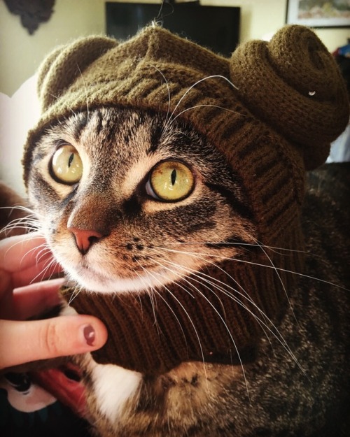 sstephisamess:Help me, Obi-Wan Kenobi. You’re my only hope.