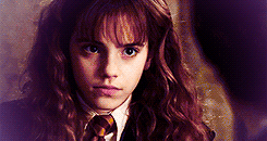 greatserpent:  Get to know me meme - [1/8] Favorite Female Characters:  ↪ Hermione Granger (Harry Potter) “When are you going to get it into your head?! We’re in this together!”  