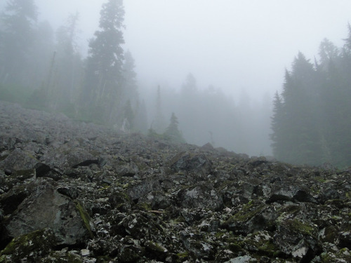 Talus field of lower Hessong Rock in the mist. by bikejr