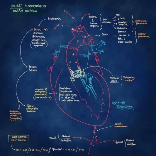 Here&rsquo;s the DUKE of infective endocarditis!!!#medblog #medicalschool #medstudent #medstudyblr #