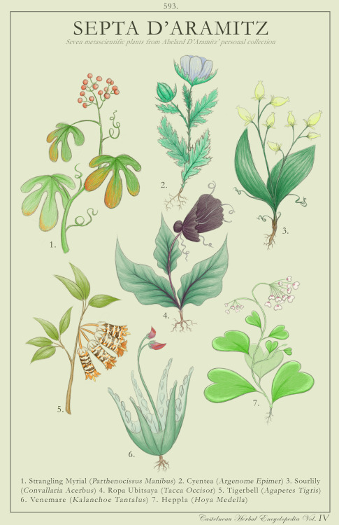 chayscribbles:SEPTA D’ARAMITZ ❃ Seven metascientific plants from Abelard D’Aramitz’ personal collect