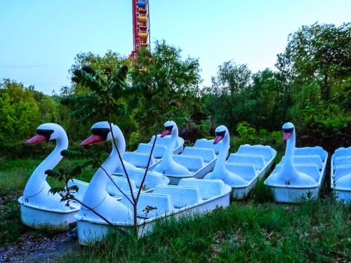 The Swans of Spreepark