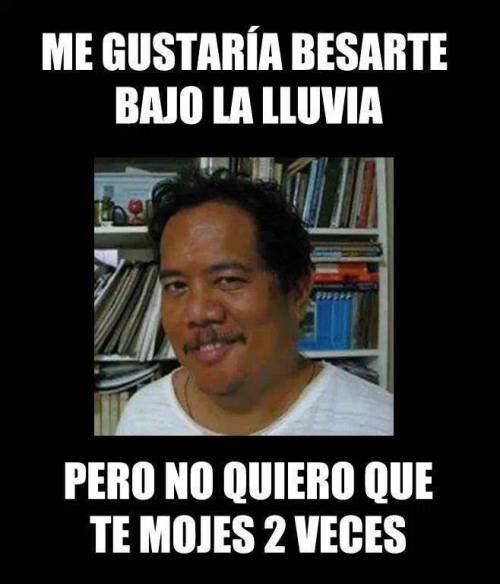 El encantador de cerdos