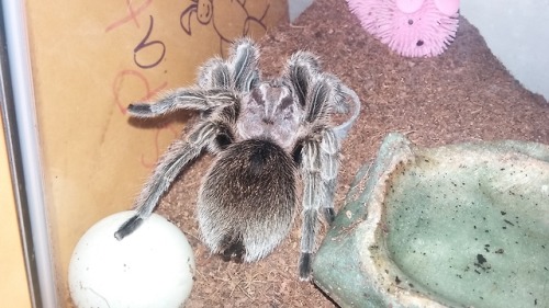 Spidey Is Having A Great Day So Far! Its Not Even Noon Yet And She Is Already Touching Her Ball AND Her