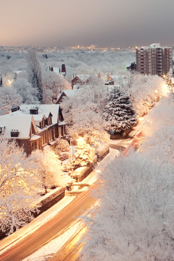 plasmatics-life:  Winter Wonderland ~ By