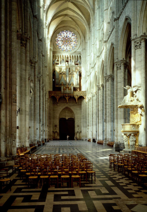 Cathédrale Notre-Dame, Amiens, views of the façade and the nave towards the counter-façade and the a