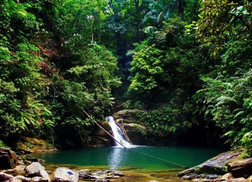trinbagoculture: Rio Seco Waterfall. Trinidad and Tobago. Described as one of the most attactive na