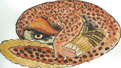 whatevernatureis