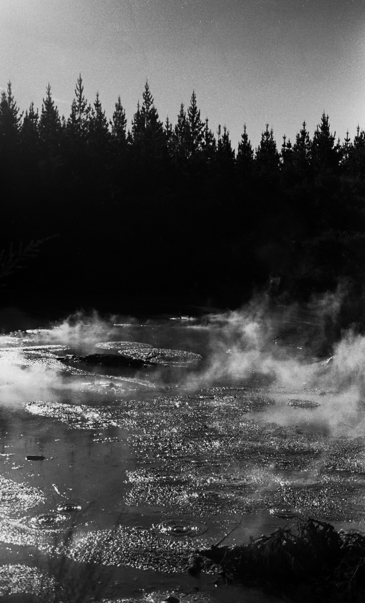 shootingthingsforfun:
“ Geothermal mud pools
”