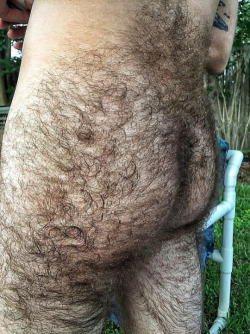 naturallyfurryguys:I want that ASS…