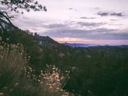 leaberphotos:  What your eyes reflect from your soul, it’s revealingAngeles National Forest, Californiainstagram