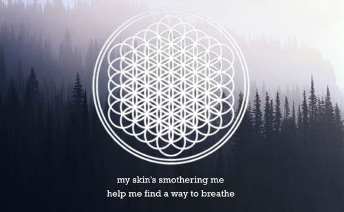 f-o-u-r-s-t-r-i-n-g-s:  Band members/music blog