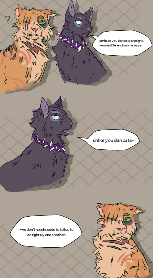 Warrior Cats - Tigerstar is honestly one of the best