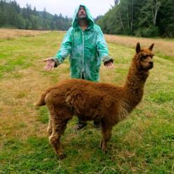 phineas4cobain:  krist,  who looks like he’s blessing the alpaca. I just don’t KNOW