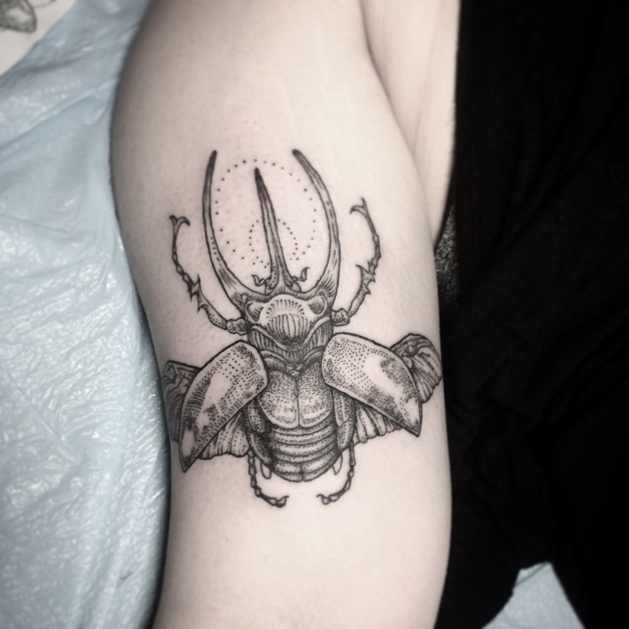 Rhinoceros Beetle tattoo by Kristian Kimonides  Post 23459  Beetle tattoo  Insect tattoo Body art tattoos