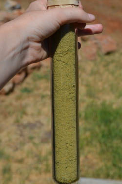 incredible-kush:  kief run 