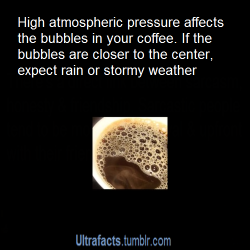 arthuralbionkirkland:  ultrafacts:  For more