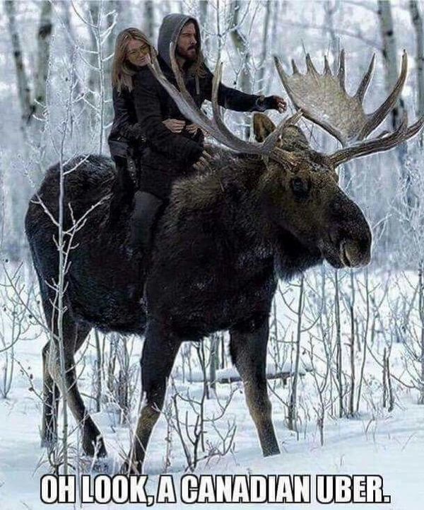 goodbrew82375:  ravenhairedbeauty0114:  🇨🇦 🚗😆😂🤣  Hey @lifeishowyouliveit