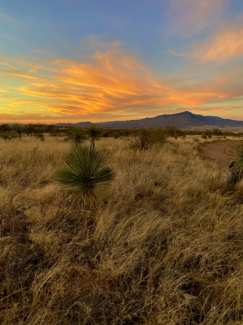 Flame-like evening clouds above Rincon Peak, J-Six Ranch, Cochise County, Arizona.