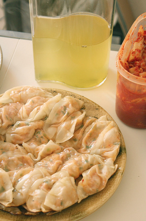 veganinspo:  Kimchi Gyoza