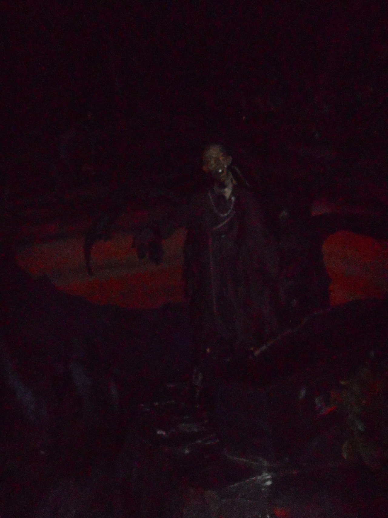 awkwarddinosauce:  Phantom Manor at Disneyland Paris. It is so much cooler than the