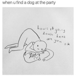 🙋🏻 who else? #doglover #party #dogsoverpeople