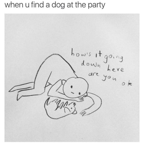 XXX 🙋🏻 who else? #doglover #party #dogsoverpeople photo