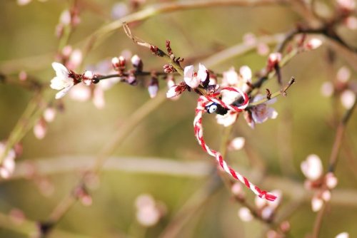 Happy Mărţişor! Love! It’s March and on this day Romanian men give martisoare (small trinkets with a