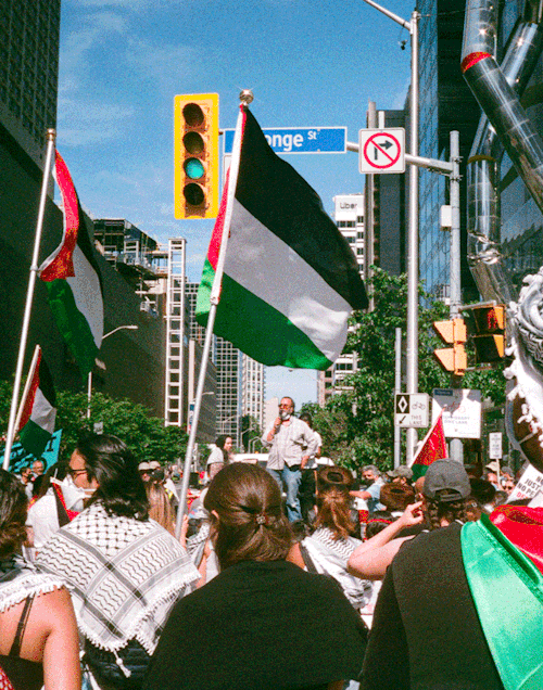 July 4th, 2020 - Yonge and Bloor, Toronto || Anti-Annexation Protest IG: brxndonbrandoff 