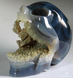 sixpenceee:  Gem- Stone Skulls  *Heavy Breathing*