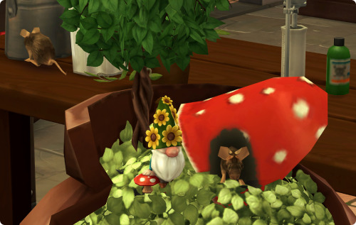 Before 'Growing Together' Was Released, I Saw The Plant Pot With The Mushroom In A Preview And I Wanted