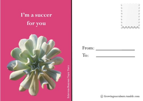 growingsucculents: growingsucculents: growingsucculents:i made some cute Valentines day cards! Feel 