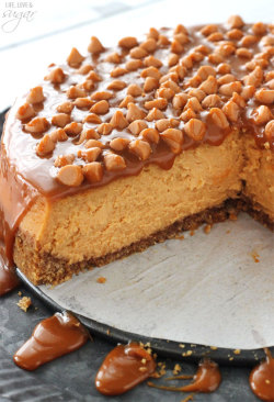 guardians-of-the-food:  Loaded Butterscotch Cheesecake