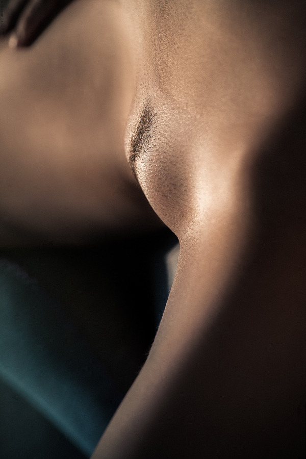 bluefadept:Fur by AntonBoroda23
