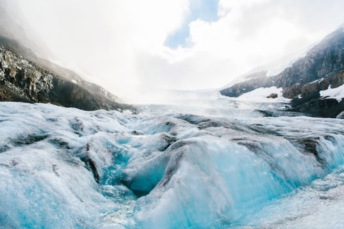 mymodernmet:  Stunningly picturesque moments captured by photographer Finn Beales. 